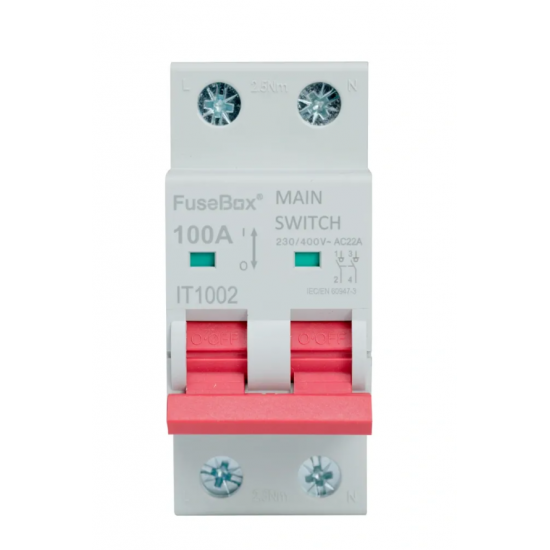 FUSEBOX 100A DOUBLE POLE MAIN SWITCH