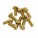 Brass screws