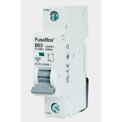 FUSEBOX 63A 10KA B TYPE 1 POLE MCB