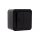 DETA IP66 20AX 2 GANG 2 WAY SWITCH WITH NEON - BLACK