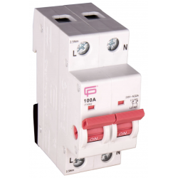 FUSEBOX 100A DOUBLE POLE MAIN SWITCH