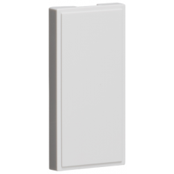 WHITE BLANK MODULE 50MM X 25MM